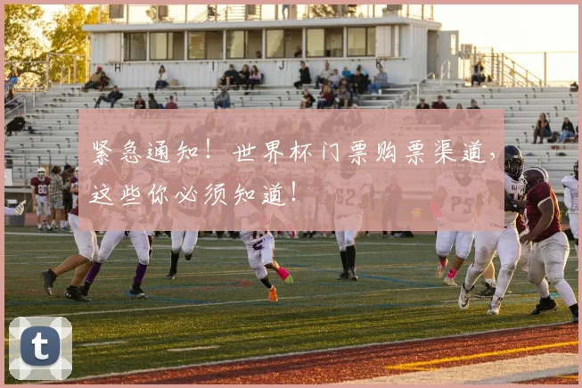 紧急通知！世界杯门票购票渠道，这些你必须知道！